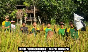 IMG-20250225-WA0030