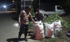 IMG-20250510-WA0059