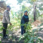 IMG-20250718-WA0031