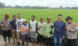 IMG-20250828-WA0052