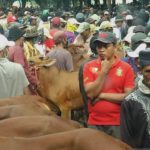 IMG-20251227-WA0045