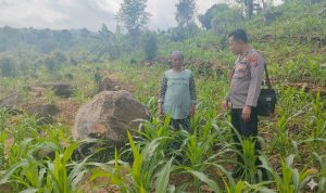 IMG-20260530-WA0012