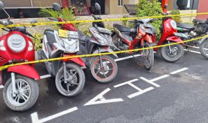 IMG-20260613-WA0010